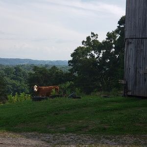 Meet your Posher, Peggy